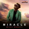 Willy pascal - Miracle